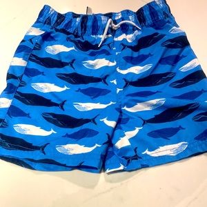 Janie and Jack swim trunks